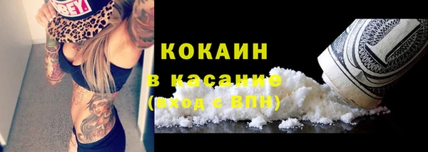 индика Алексеевка