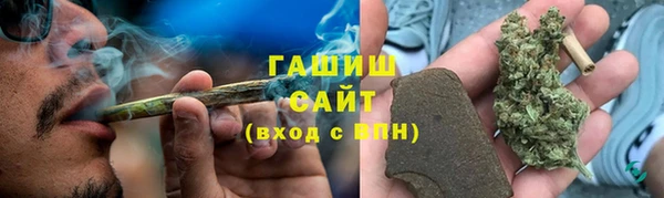 дмт Алексин