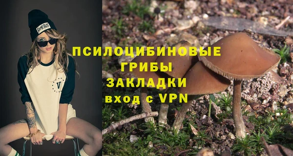 дмт Алексин