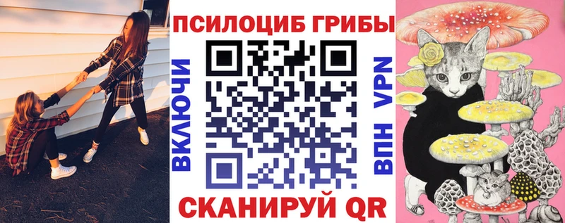 закладка Зеленокумск hydra зеркало Галлюциногенные грибы Cubensis